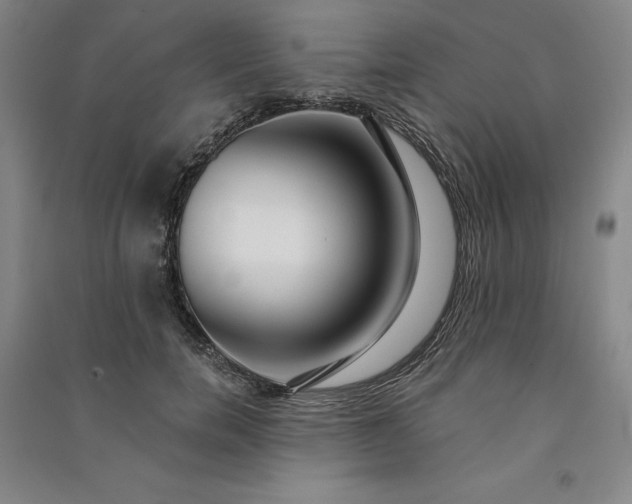 X0000091090750200708201457