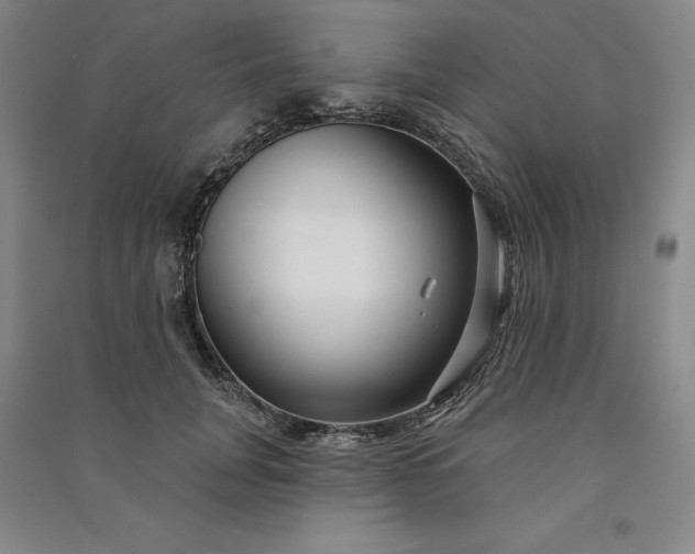 X0000091090751200708201457