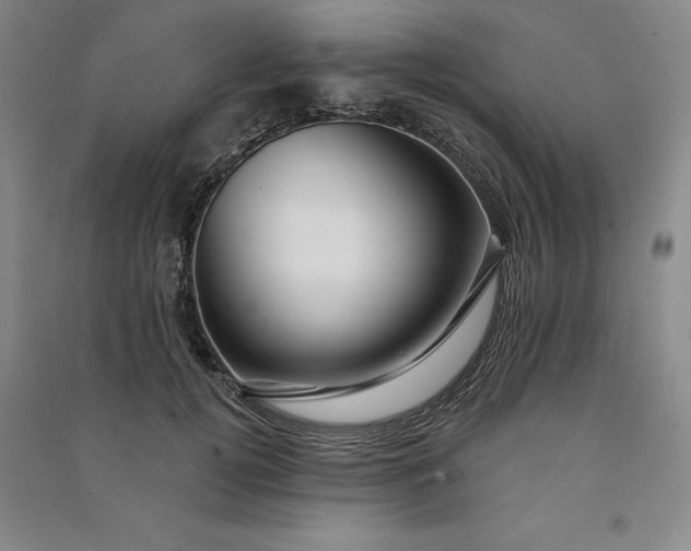 X0000091090752200708201457