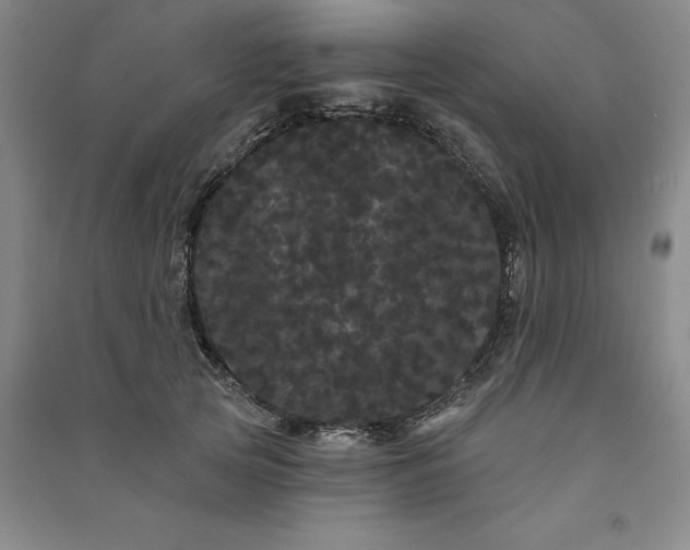 X0000091090753200708201457