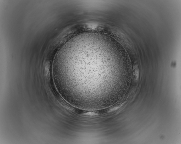 X0000091090754200708201457