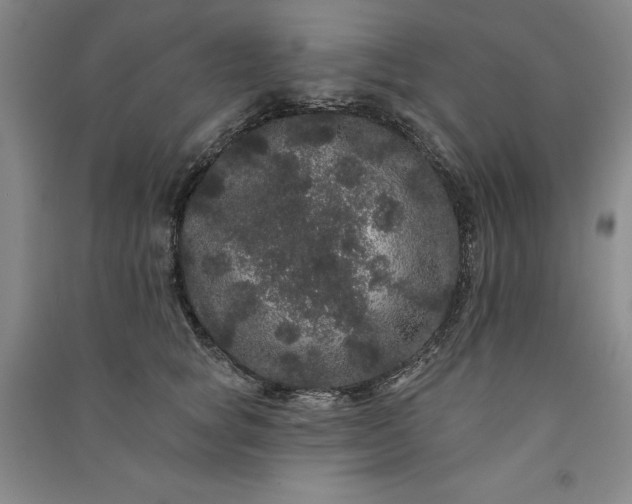 X0000091090757200708201457