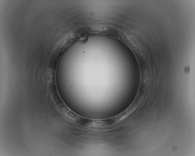 X0000091090758200708201457