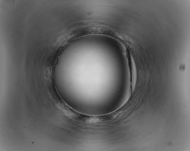 X0000091090759200708201457