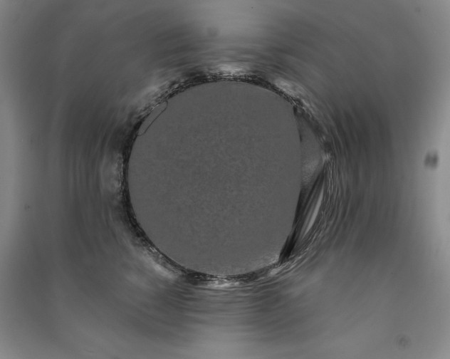 X0000091090760200708201457