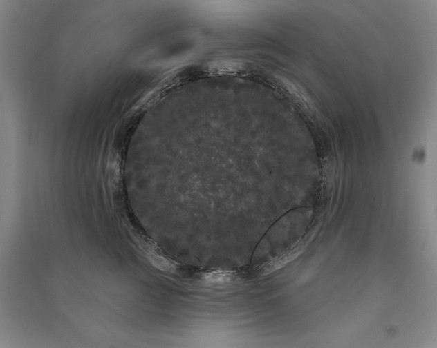 X0000091090761200708201457