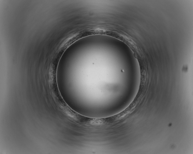 X0000091090762200708201457