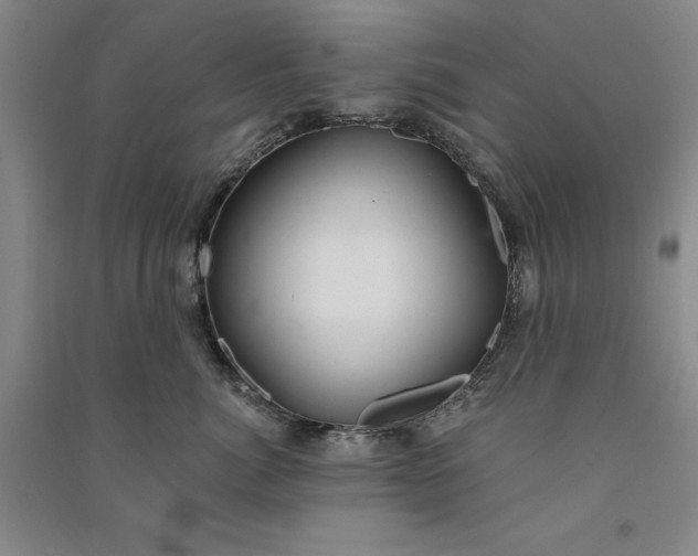 X0000091090764200708201457