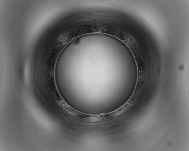 X0000091090765200708201457