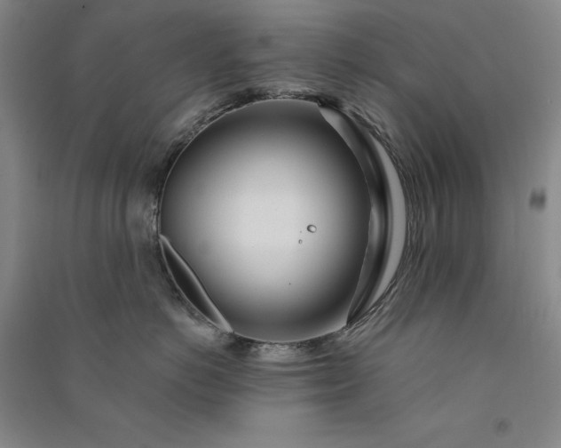 X0000091090766200708201457