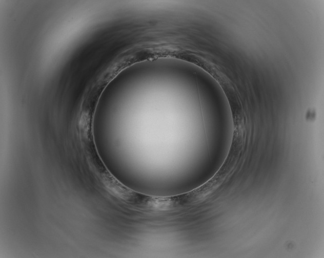 X0000091090767200708201457