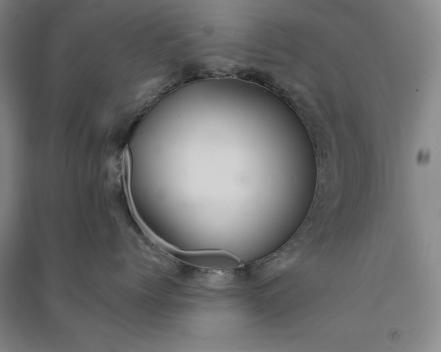 X0000091090768200708201457