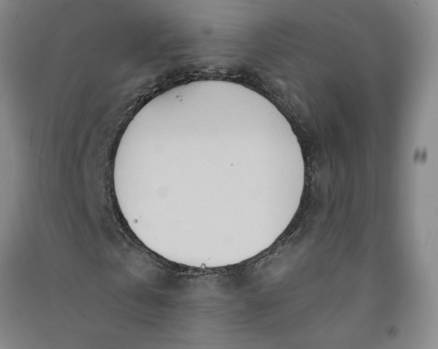 X0000091090769200708201456