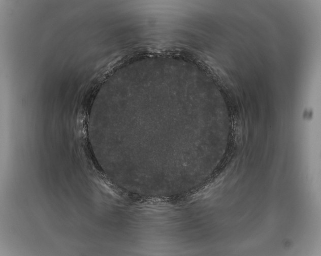 X0000091090770200708201456