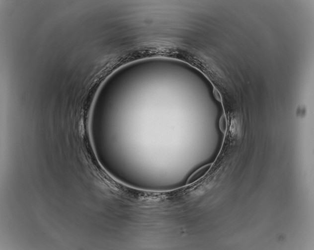 X0000091090771200708201456