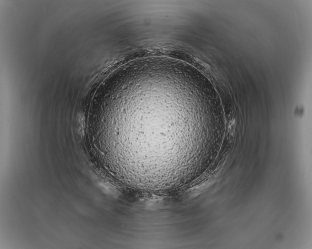 X0000091090772200708201456