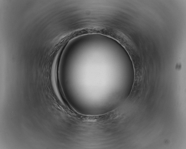 X0000091090773200708201456