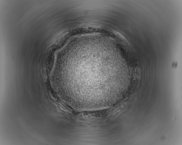 X0000091090774200708201456