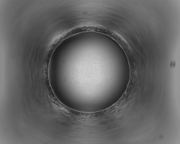 X0000091090775200708201456