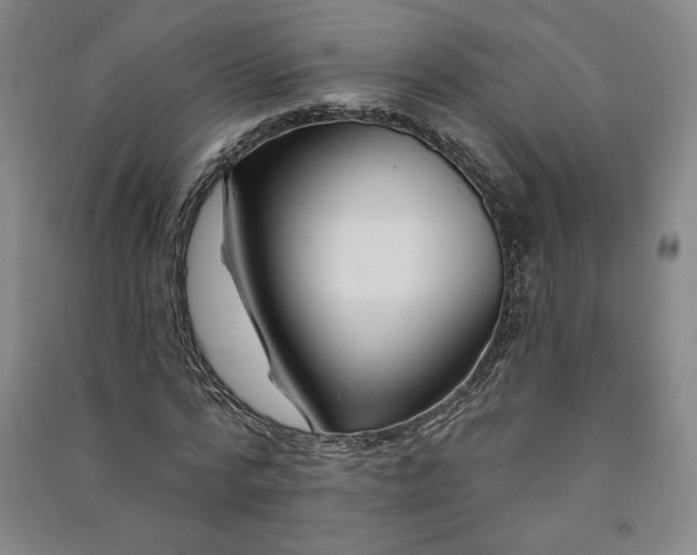 X0000091090776200708201456