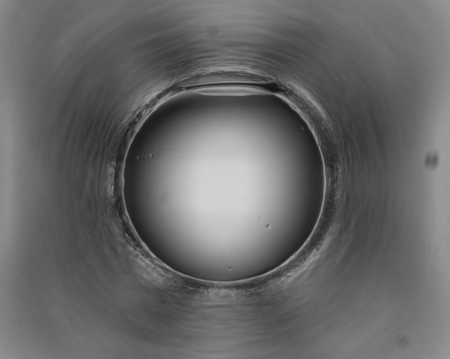 X0000091090777200708201456