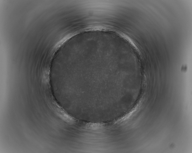 X0000091090778200708201456