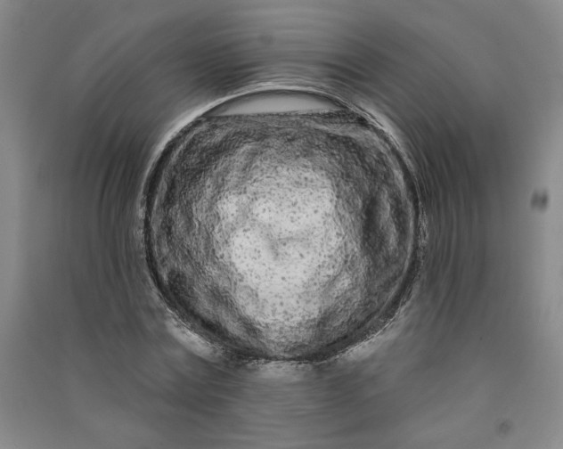 X0000091090779200708201456