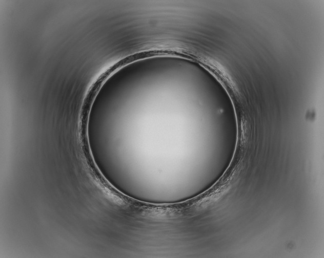 X0000091090780200708201456