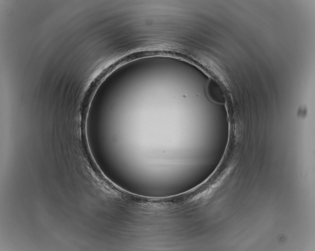 X0000091090781200708201456