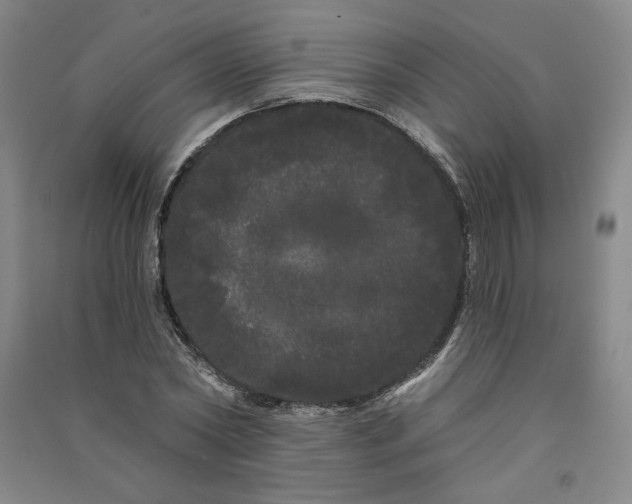 X0000091090782200708201456