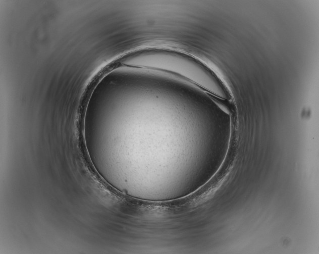 X0000091090783200708201456