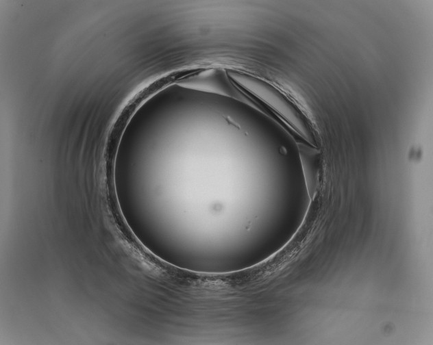 X0000091090784200708201456