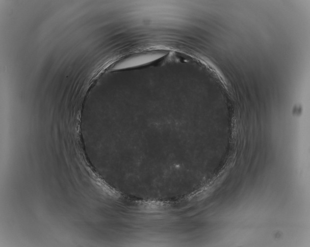 X0000091090785200708201456