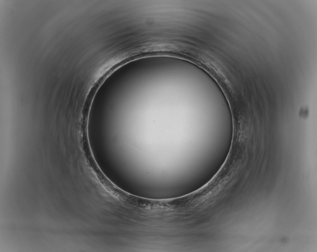 X0000091090786200708201456