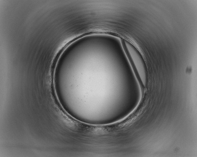 X0000091090787200708201456