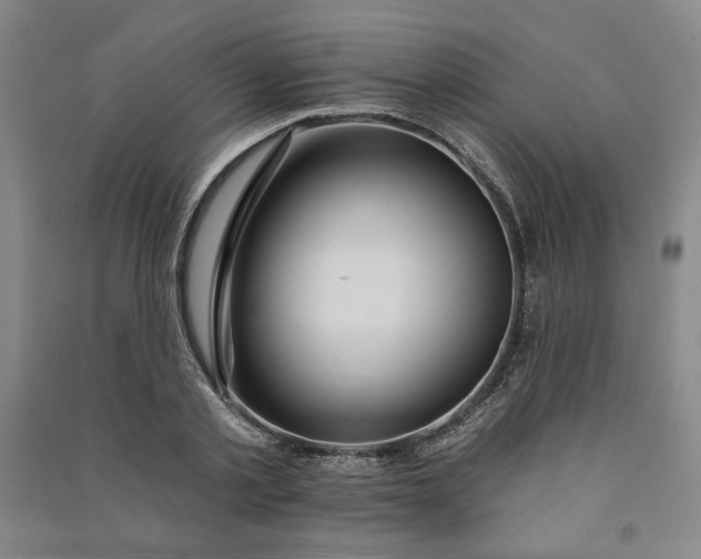 X0000091090789200708201456