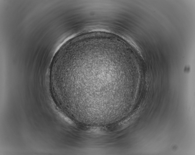 X0000091090790200708201456