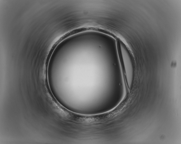 X0000091090791200708201456