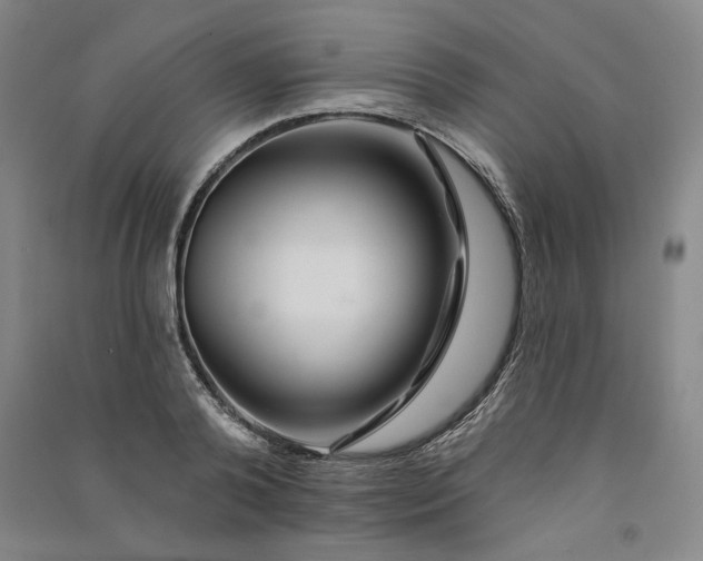 X0000091090792200708201456