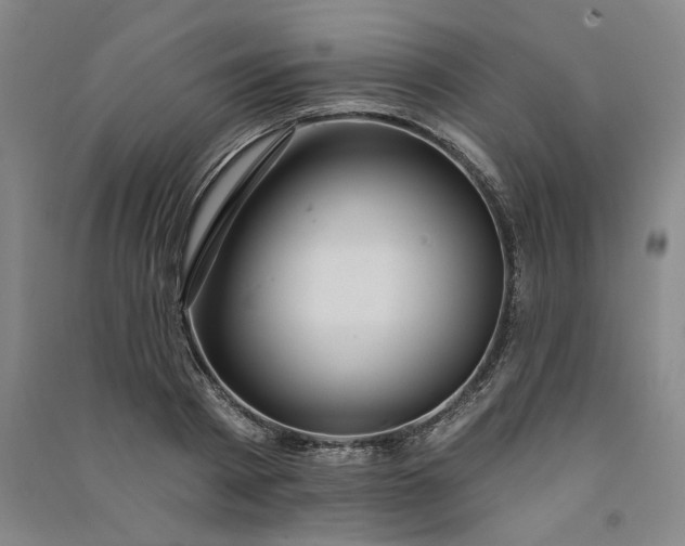 X0000091090793200708201456