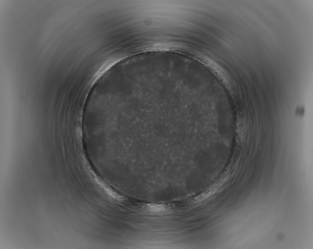 X0000091090794200708201456