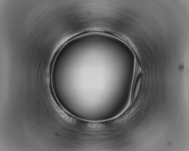 X0000091090795200708201456