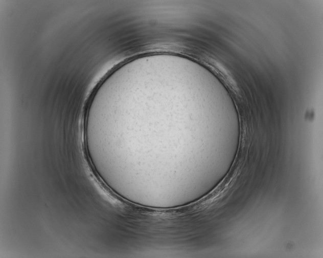 X0000091090796200708201456