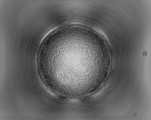 X0000091090798200708201456