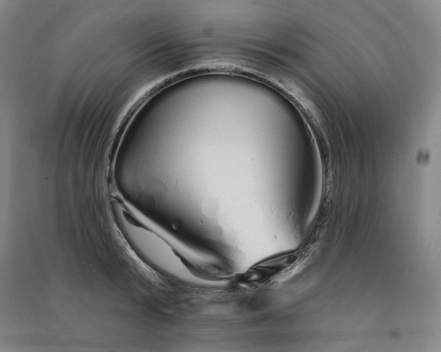 X0000091090799200708201456