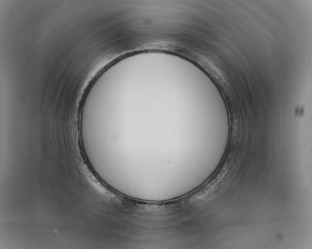 X0000091090800200708201456