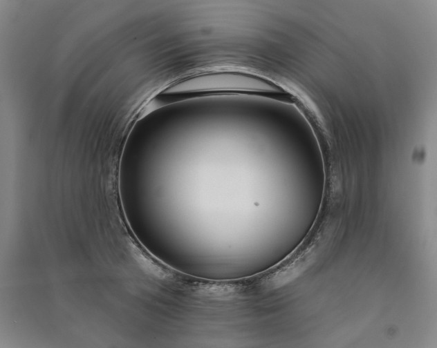 X0000091090801200708201456