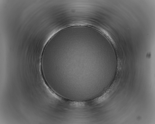 X0000091090802200708201456