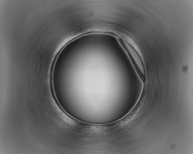 X0000091090803200708201456