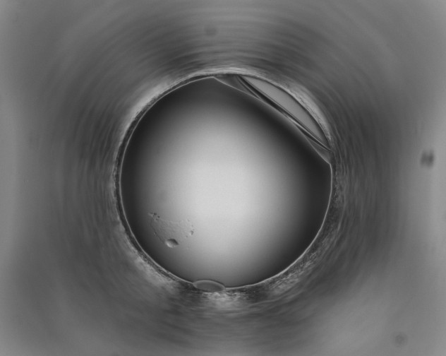 X0000091090805200708201456